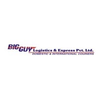 big-guy-logistics-logo