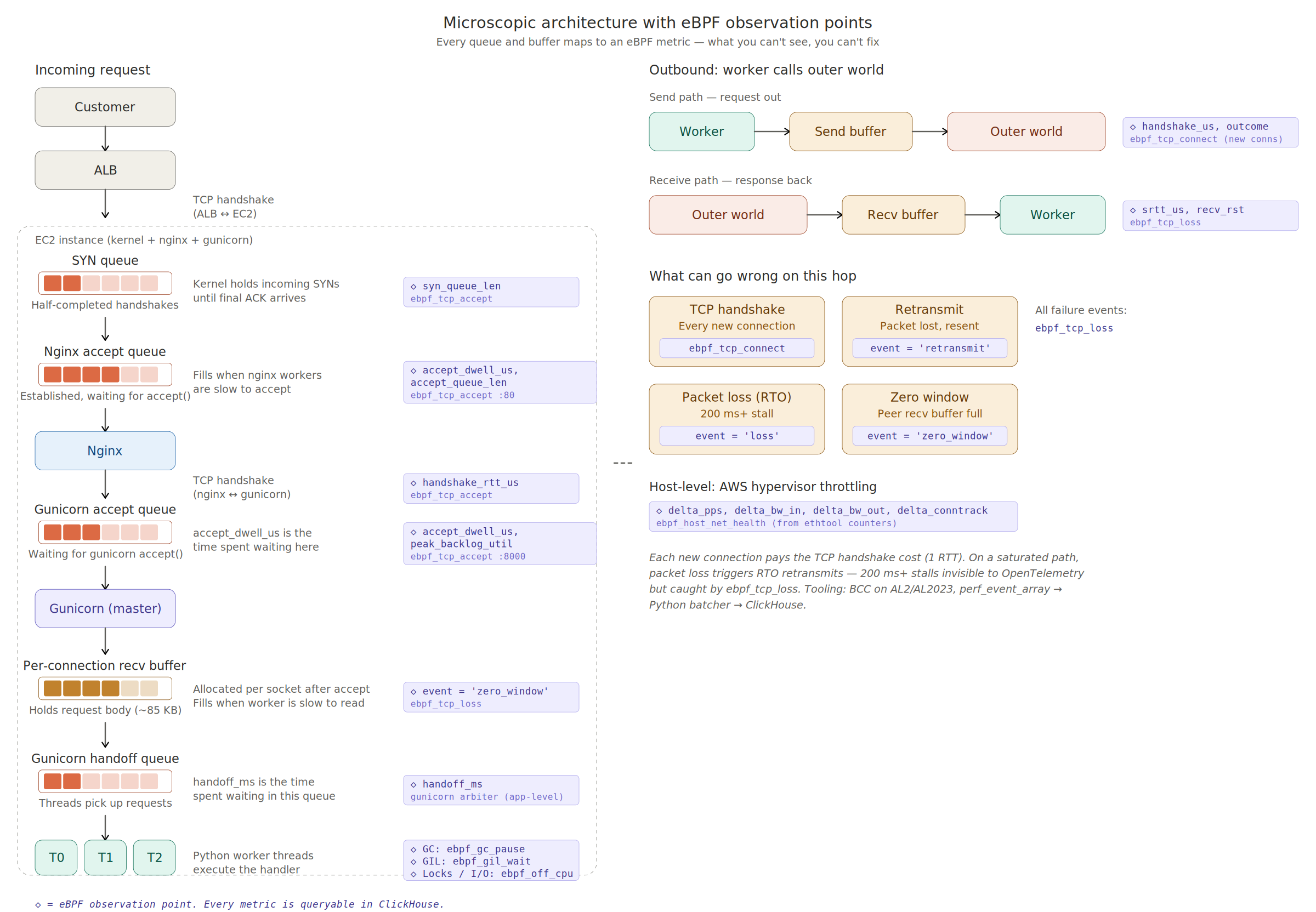 microscopic_with_metrics (2)